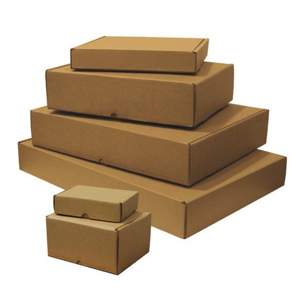 p_1_0_7_5_1075-Cajas-automontables-para-envio-200x150x100-600x600 B4-AUTOMONTABLE